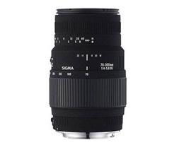 AF 70-300mm F4-5.6 APO-M DG  for CANON