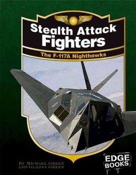 Stealth Attack Fightersstealth 