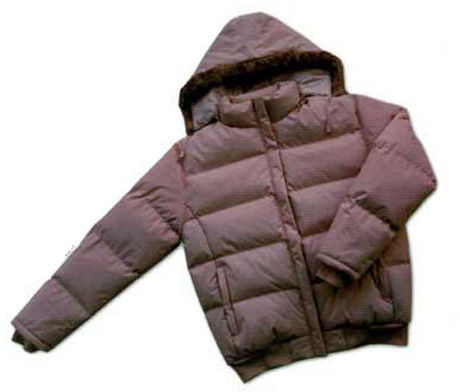 Ladies Winter Jackets Case Pack 24