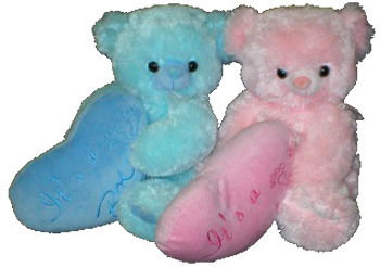 11"" It's a Boy & Girl Stuffed Bears Case Pack 12