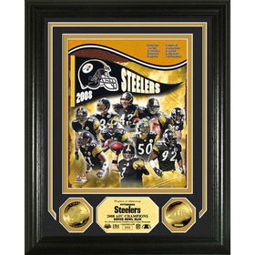 Pittsburgh Steelers Super Bowl 43 AFC Champions 24KT Gold Coin Photo Mintpittsburgh 