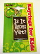 Is It Recess Key Ring Case Pack 60