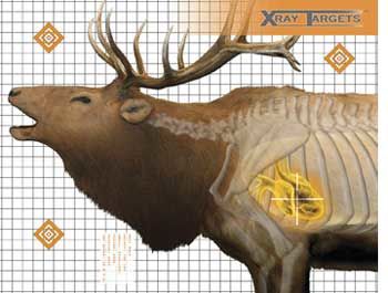 Champion Elk X-Ray Paper Target, 36x30, 6ctchampion 