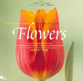 Flowersflowers 