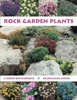 Rock Garden Plantsrock 