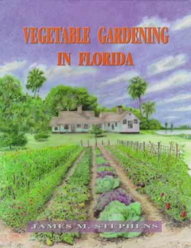 Vegetable Gardening in Floridavegetable 