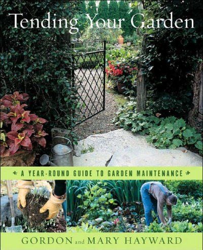 Tending Your Gardentending 