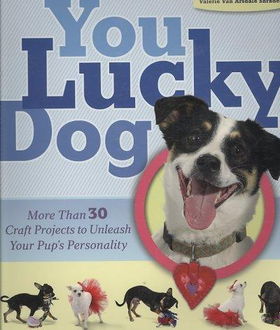 You Lucky Doglucky 