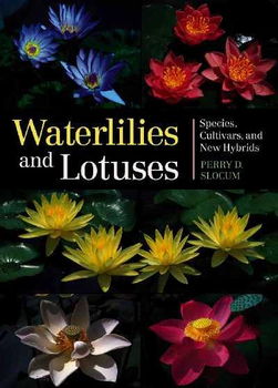 Waterlilies And Lotuseswaterlilies 
