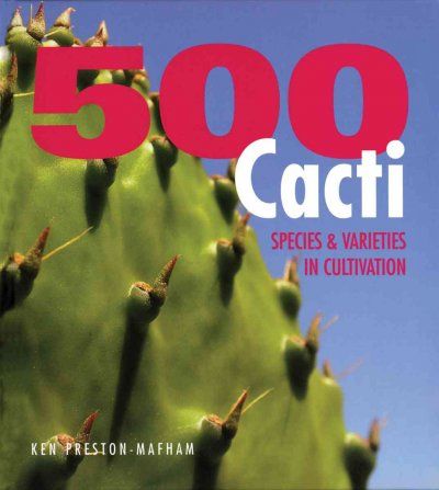 500 Cacticacti 
