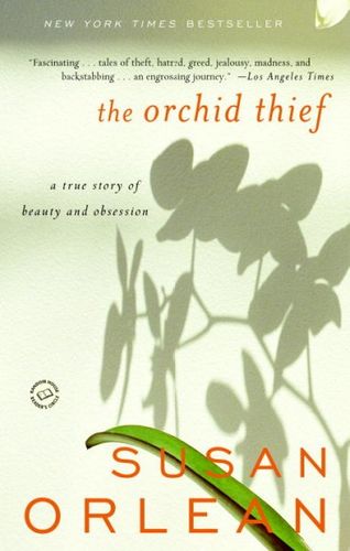 The Orchid Thieforchid 