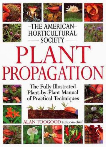 Plant Propagationplant 