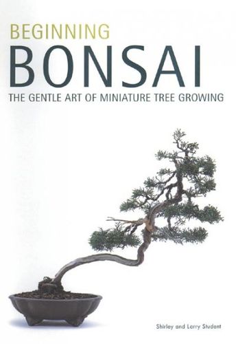 Beginning Bonsaibeginning 