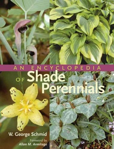 An Encyclopedia of Shade Perennialsencyclopedia 
