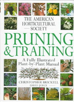 Pruning & Trainingpruning 