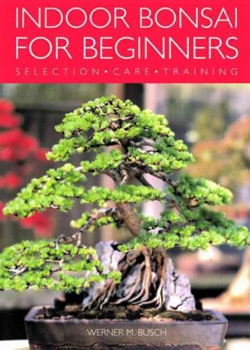 Indoor Bonsai For Beginnersindoor 