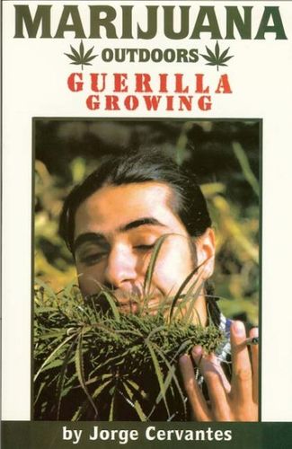 Marijuana Outdoorsmarijuana 