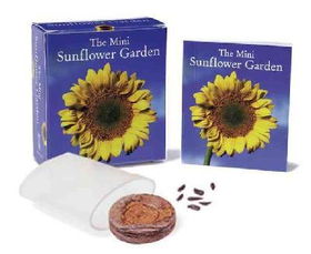 The Mini Sunflower Garden Kitsunflower 