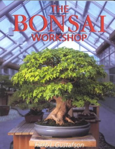 The Bonsai Workshopbonsai 