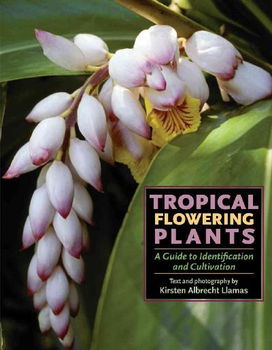 Tropical Flowering Plantstropical 