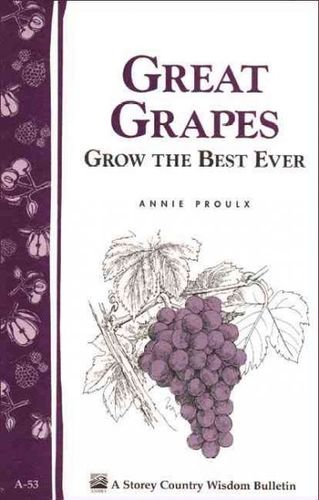 Great Grapes!grapes 