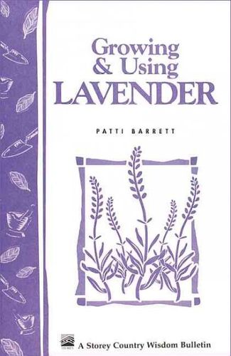 Growing and Using Lavendergrowing 