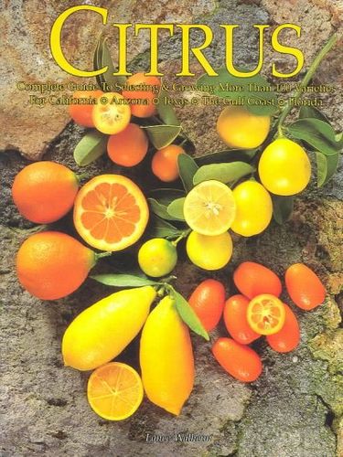 Citruscitrus 