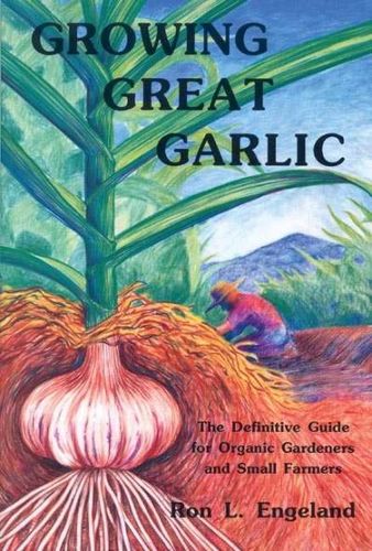 Growing Great Garlicgrowing 