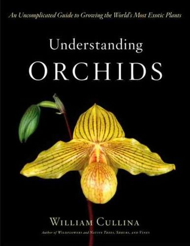 Understanding Orchidsunderstanding 