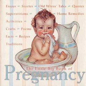 The Little Big Book of Pregnancylittle 