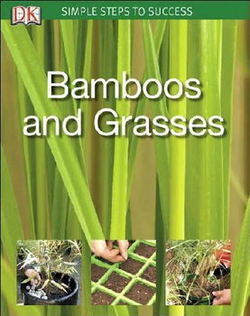 Bamboo and Grassesbamboo 