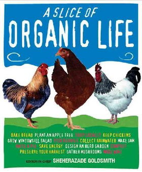 A Slice of Organic Lifeslice 