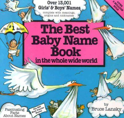 Best Baby Name Book in the Whole Wide Worldbaby 