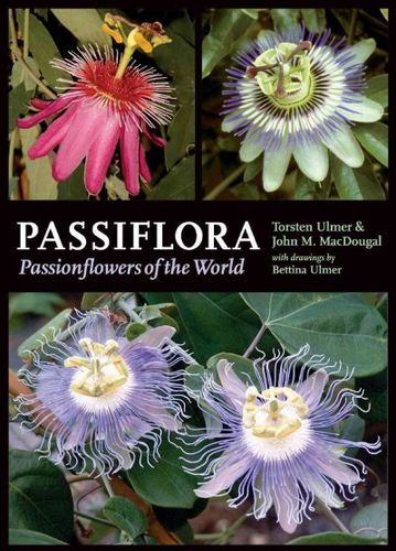 Passiflorapassiflora 