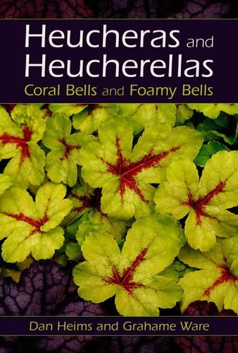 Heucheras And Heucherellasheucheras 
