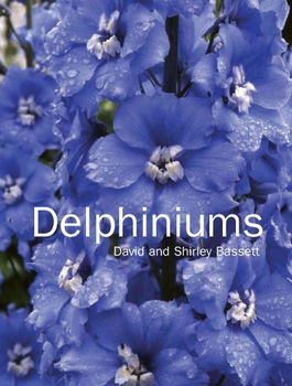 Delphiniumsdelphiniums 