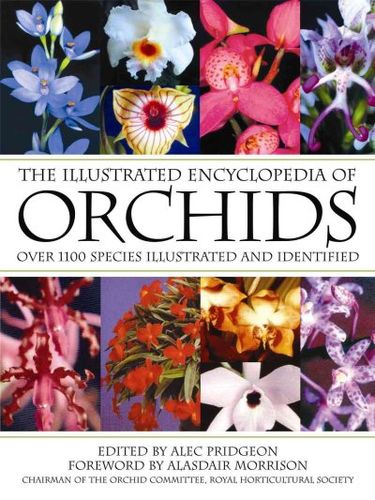 The Illustrated Encyclopedia of Orchidsillustrated 