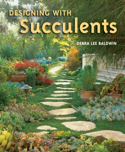 Designing With Succulentsdesigning 