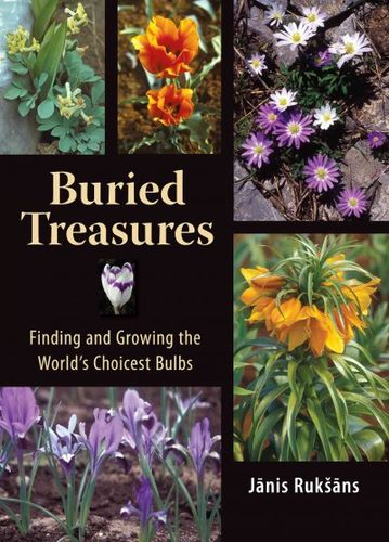 Buried Treasuresburied 