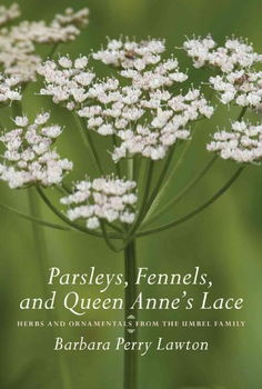 Parsleys, Fennels, and Queen Anne's Laceparsleys 