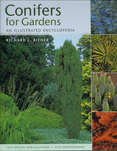 Conifers for Gardensconifers 