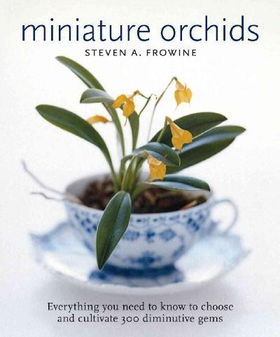 Miniature Orchidsminiature 