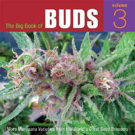 The Big Book of Budsbig 