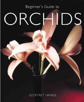 Beginner's Guide to Orchidsbeginner 