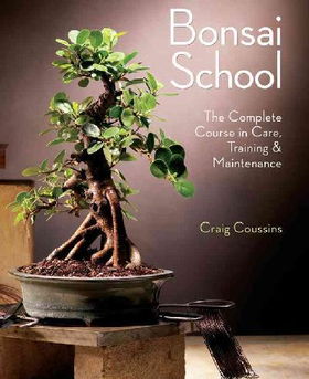 Bonsai Schoolbonsai 