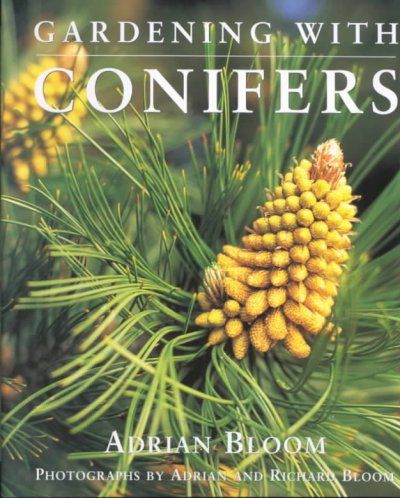 Gardening With Conifersgardening 
