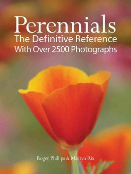 Perennialsperennials 