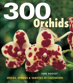 300 Orchidsorchids 