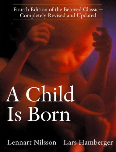 A Child Is Bornchild 