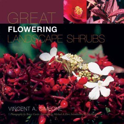 Great Flowering Landscape Shrubsflowering 
